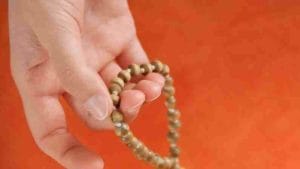 देवाच्या पूजेमध्ये जपमाळेचे बरेच महत्त्व; जाणून घ्या कुठल्या माळेने कुठल्या देवतेची पूजा करायची?