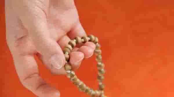 देवाच्या पूजेमध्ये जपमाळेचे बरेच महत्त्व; जाणून घ्या कुठल्या माळेने कुठल्या देवतेची पूजा करायची?