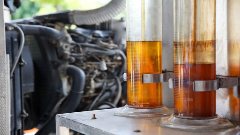 Kerla vet doctor gets patent for biodiesel from chicken waste