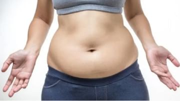 Weight Loss: पोटाच्या चरबीचे प्रकार किती?; जाणून घ्या पोटाची चरबी कमी करण्याचे उपाय!