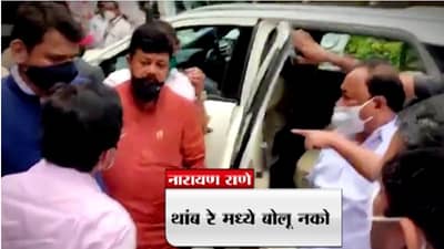 VIDEO | थांब रे, मध्ये बोलू नको, नारायण राणेंनी फडणवीसांसमोरच प्रवीण दरेकरांना गप्प केलं