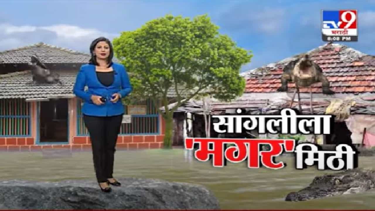 Special Report | महापुरानंतर सांगलीला 'मगर'मिठी !