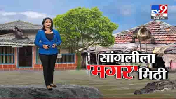 Special Report | महापुरानंतर सांगलीला ‘मगर’मिठी !