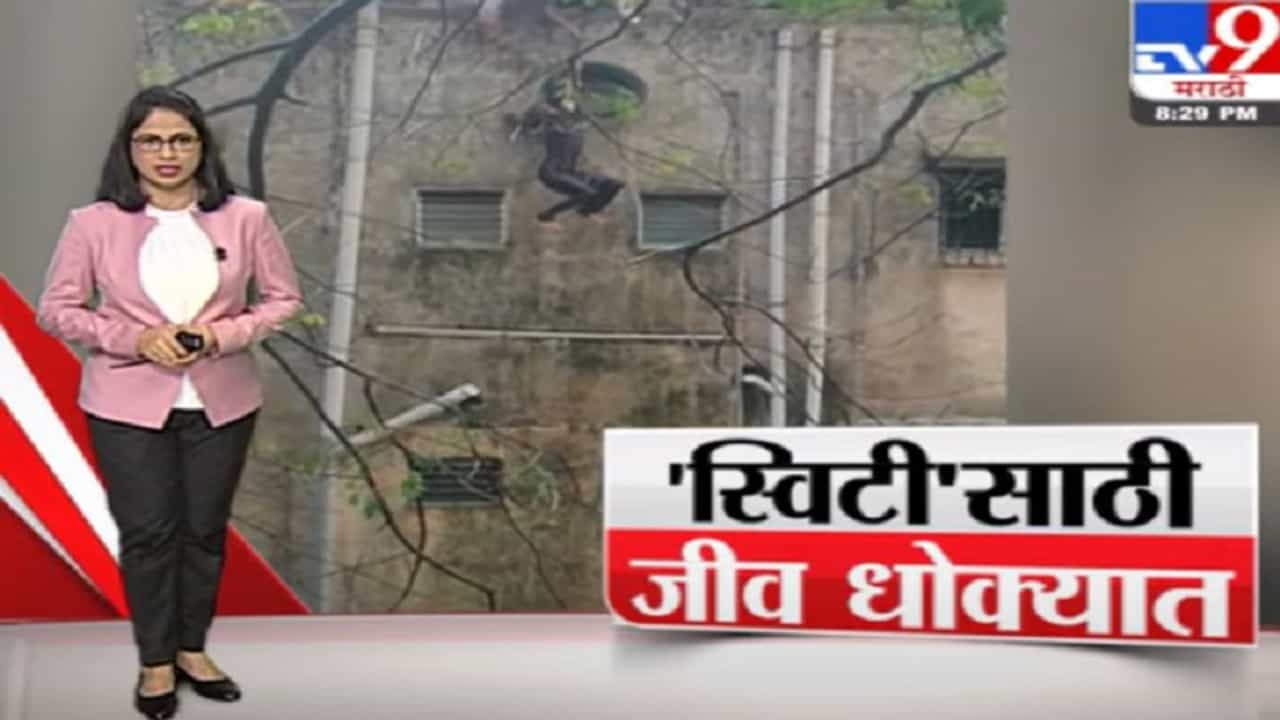 Special Report | 'स्विटी'साठी जीव धोक्यात