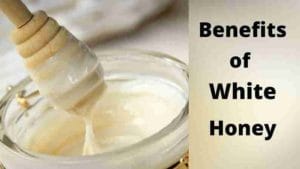 सफेद मध म्हणजे अँटीऑक्सिडंट्सचे ‘पॉवर हाऊस’; जाणून घ्या याचे फायदे आणि तोटे
