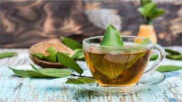 Tejpatta Tea Benefits : तमालपत्राची चहा आरोग्यासाठी अत्यंत फायदेशीर, वाचा याबद्दल अधिक!