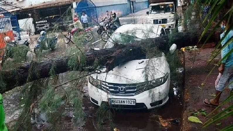 पार्क केलेल्या गाडीवर एखादे झाड पडल्यास विमा मिळणार का? नियम काय सांगतो पार्क केलेल्या गाडीवर एखादे झाड पडल्यास विमा मिळणार का? नियम काय सांगतो