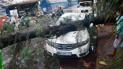 रस्त्यावर उभ्या असलेल्या गाडीवर झाड पडल्यास विम्याचे पैसे मिळतात का?