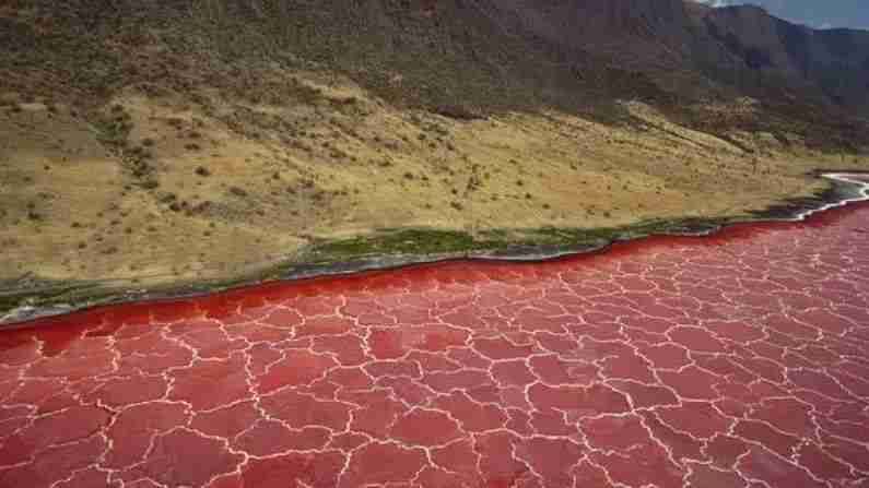 Lake Natron - टांझानियामधील हा तलाव ज्वालामुखीच्या वर बनला आहे. त्याचे पाणी लाल आहे. त्यात खनिजांचे प्रमाण जास्त असल्याने या तलावाचे पाणी क्षारीय(Alkaline) आहे. ते प्यायल्याने त्वचा आणि डोळे जळू शकतात.