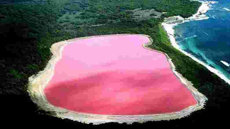 Pink Lake - ऑस्ट्रेलियाच्या या सरोवरात हॅलोफिलिक बॅक्टेरिया मोठ्या प्रमाणात आढळतात. यामुळे हा तलाव गुलाबी दिसतो. या सरोवराचे क्षेत्रफळ फक्त 600 चौरस मीटर आहे, म्हणून त्याचा समावेश जगातील सर्वात लहान आणि सर्वात सुंदर सरोवरात होतो.