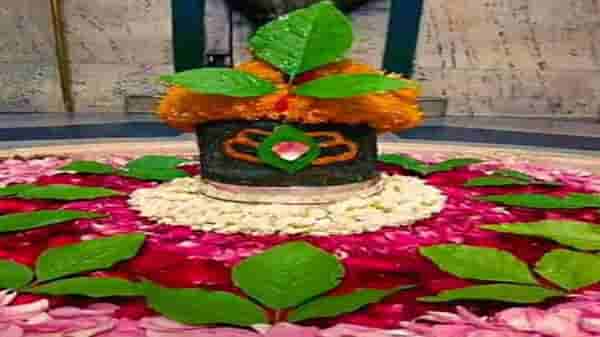 श्रावण महिन्यात शिवलिंगावर बेलपत्र अर्पण करण्यापूर्वी त्याचे काही खास नियम जाणून घ्या
