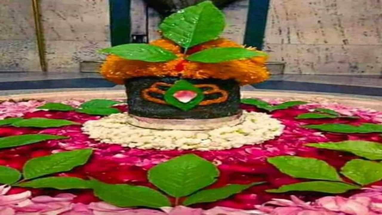 श्रावण महिन्यात शिवलिंगावर बेलपत्र अर्पण करण्यापूर्वी त्याचे काही खास नियम जाणून घ्या