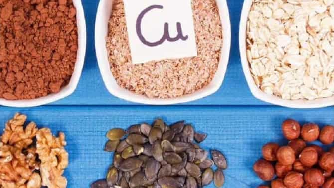 Foods High In Copper : कॉपर युक्त या पदार्थांचा आहारात समावेश करा!