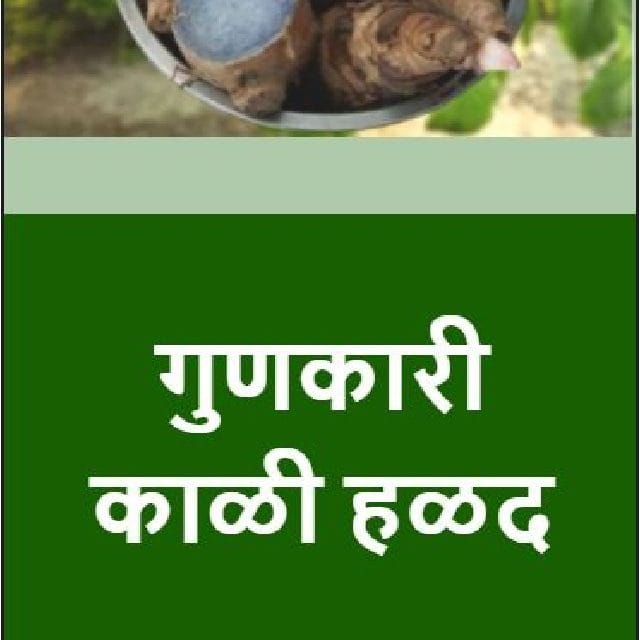 गुणकारी काळी हळद