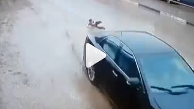 Video | कशाचाही विचार न करता चिमुकला रस्त्यावर आला, भरधाव वेगात कार आली अन्...