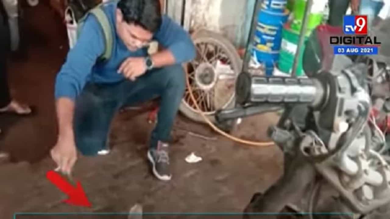 Pune | दुचाकीच्या समोरच्या भागात शिरला नाग, समोरील भाग खोलून नागाला बाहेर काढले