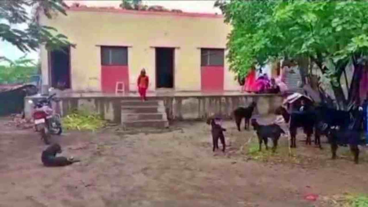 VIDEO: साताऱ्यात टोकियो ऑलिम्पिकपटू प्रविण जाधवला घराच्या जागेवरुन घर तोडण्याची धमकी