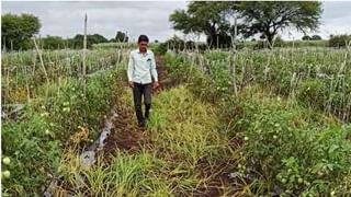 VIDEO : संसद परिसर बनला आखाडा, कृषी कायद्यांवरून हरसिमरत कौर बादल आणि रवनीत बिट्टू भिडले, पाहा व्हिडीओ