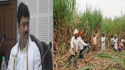 गोपीनाथराव मुंडे ऊसतोड कामगार कल्याण महामंडळाच्या कामाला वेग; कार्यालय तातडीने सुरु करण्याचे धनंजय मुंडेंचे निर्देश