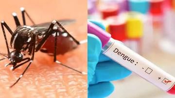 पुणे जिल्ह्यात डेंग्यू, चिकनगुनियाचं थैमान; आरोग्य यंत्रणांकडून उपाययोजना सुरू, तुम्ही अशी घ्या काळजी
