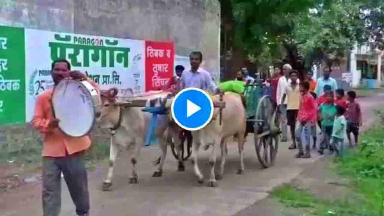 VIDEO: गाईनं घर पोसलं, धुळ्यात सर्पदंशाने मृत्यू झाल्यानं शेतकऱ्याकडून माणसाप्रमाणे वाजतगाजत अंत्ययात्रा