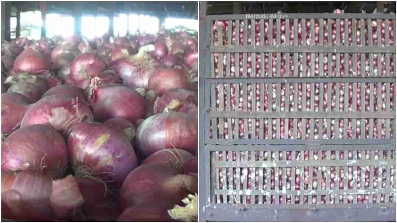 Onion Price : कांदा उत्पादक शेतकऱ्यांसाठी अलर्ट, या कारणामुळे लासलगावमधील दर 100 ने कमी, पुढे काय होणार?