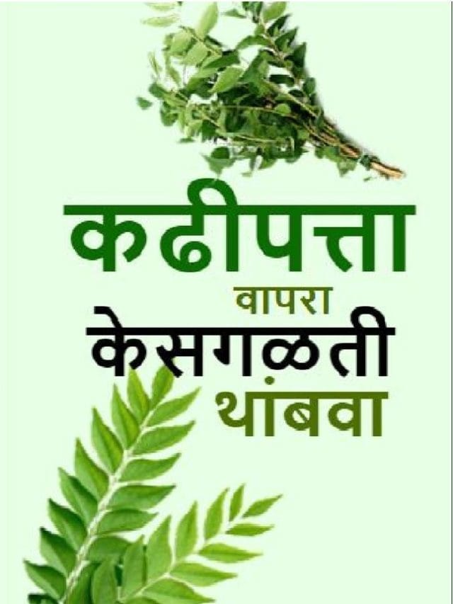 कढीपत्ता वापरा  केसगळती थांबवा