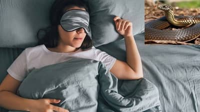 Nag Panchami 2021 : स्वप्नात वारंवार साप दिसणे अशुभ ठरु शकते, नागपंचमीच्या दिवशी हे उपाय नक्की करा