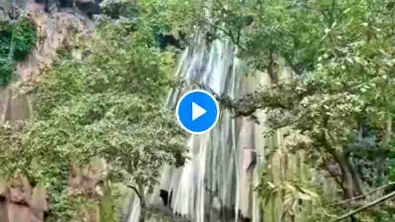VIDEO: अमरावतीत मुक्तगिरीचं सौंदर्य फुललं, 250 फूट उंचावरुन कोसळणाऱ्या धबधब्याची पर्यटकांना भुरळ