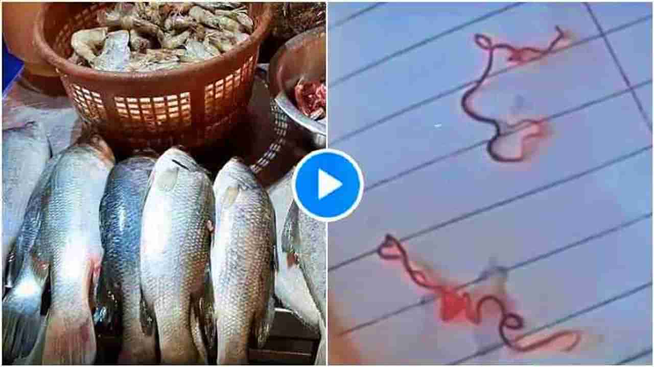 मासे खाण्याचा विचार करताय? सावधान, मुरबाडात माशात लाल-सफेद जंतू, पाहा Video