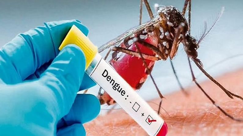 डेंग्यू, मलेरिया सारख्या पावसाळी आजारांमुळे कोव्हिड संसर्गाचा धोका दुप्पट, डॉक्टरांनी दिला इशारा