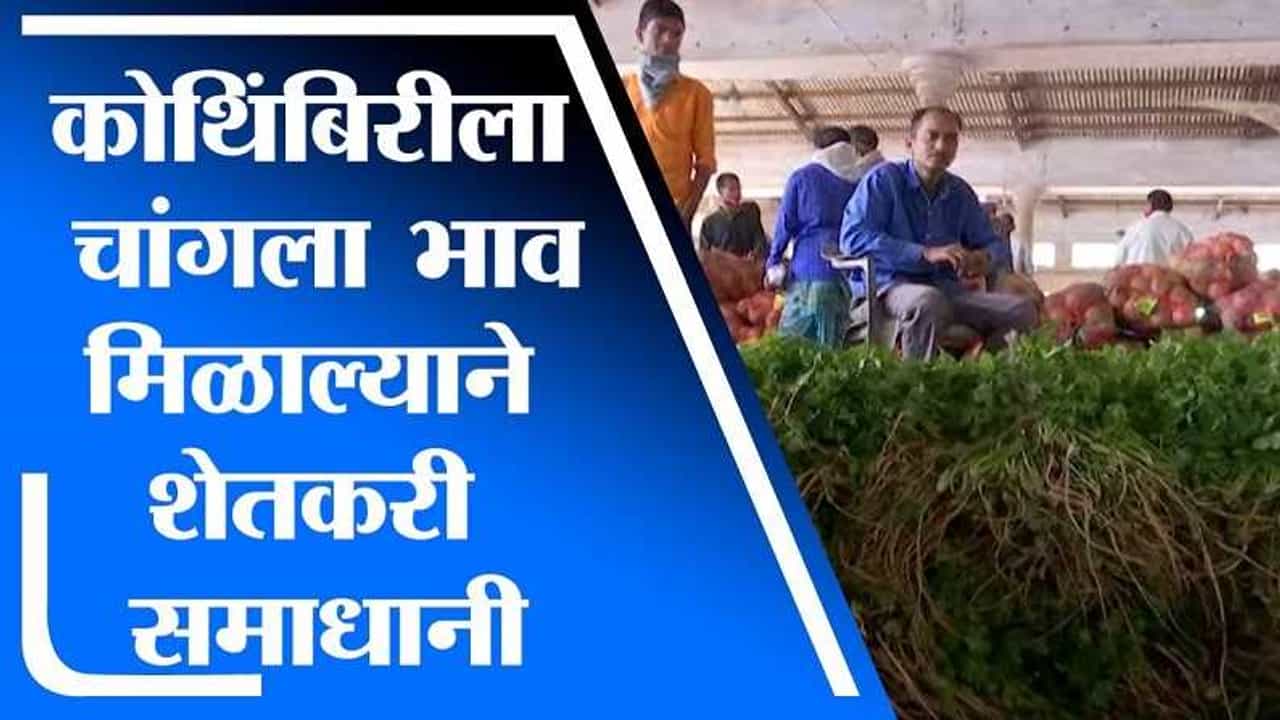 नाशिकमध्ये कोथिंबीरीनं गाठलं शतक, दुसऱ्या भाजीपाल्याची घसरण, शेतकऱ्यांच्या संमिश्र भावना