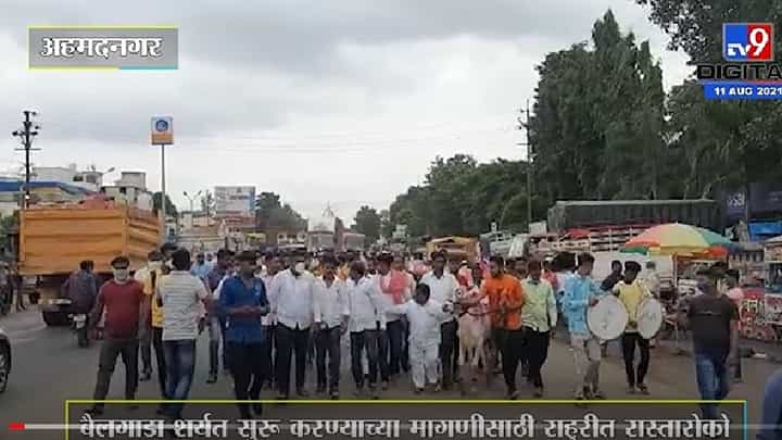 Video | बैलगाडा शर्यत सुरू करा, नगर-मनमाड महामार्गावर रास्तारोको Video | बैलगाडा शर्यत सुरू करा, नगर-मनमाड महामार्गावर रास्तारोको