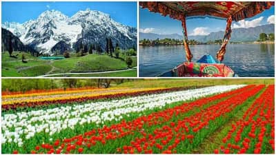 मुंबई ते श्रीनगर सहल तेही अवघ्या 27 हजारांत, IRCTC ने जाहीर केलं धमाकेदार टूर पॅकेज!