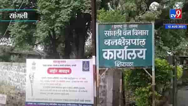 यंदा सांगलीतील शिराळ्यात नागपंचमीवर ‘ड्रोन’ची नजर, हे आहे कारण
