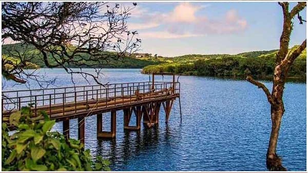 महाबळेश्वर (Mahabaleshwar) हे महाराष्ट्रातील सर्वात लोकप्रिय पर्यटन स्थळांपैकी एक आहे. समुद्रसपाटीपासून 1372 मीटर उंचीवर हे एक लोकप्रिय आणि सुंदर हिल स्टेशन आहे. हे शहर पुण्यापासून सुमारे 123 किमी अंतरावर आहे. ब्रिटीश काळात महाबळेश्वर बॉम्बे प्रेसिडेन्सीची उन्हाळी राजधानी होती. इतिहासातील मनोरंजक माहितीसह, आपण येथे सुंदर निसर्गरम्य देखाव्यांचा आनंद देखील घेऊ शकता. जर, तुम्ही महाबळेश्वरला भेट देण्याचा विचार करत असाल, तर येथे अशी काही ठिकाणे आहेत ज्यांना तुम्ही अवश्य भेट दिलीच पाहिजेत.