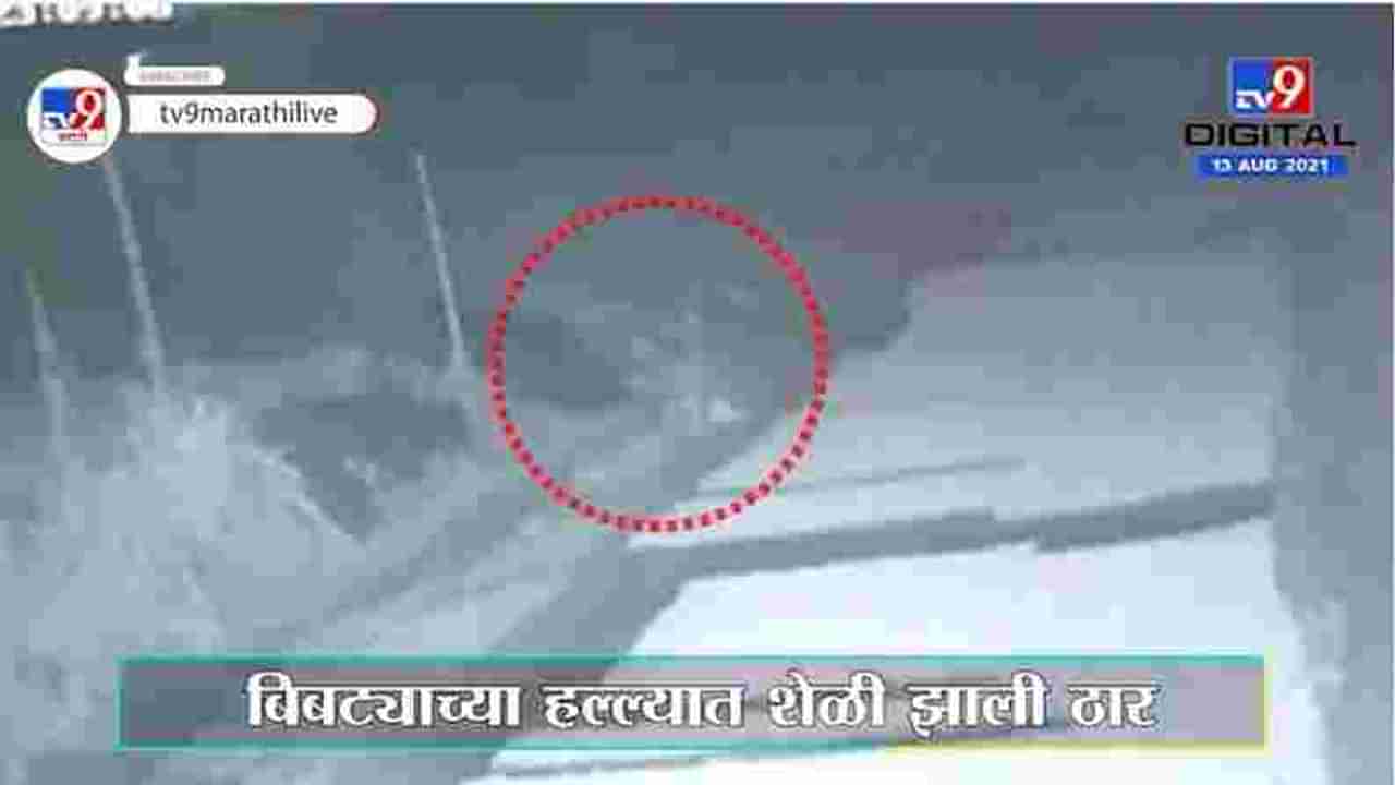 Pune | बिबट्याचा मेंढपाळाच्या वाड्यावर हल्ला, शेळीला नेतानाचा व्हिडीओ कॅमेऱ्यात कैद