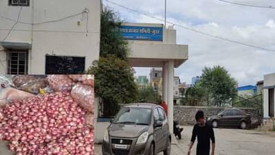 Onion Price Today: जुन्नरच्या बाजारसमितीत 13 हजार बॅगा कांद्याची आवक, कांद्याचा आजचा दर किती?