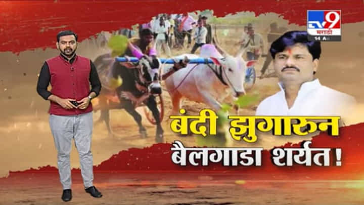 Special Report | बैलगाडा शर्यत होणार की सरकार रोखणार? Special Report | बैलगाडा शर्यत होणार की सरकार रोखणार?
