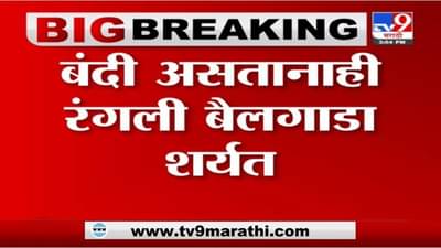 Sangamner | संगमनेर तालुक्यातील दरेवाडीमध्ये बैलगाडा शर्यत, नागरिकांची मोठी गर्दी