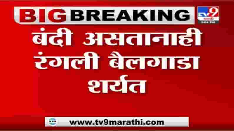 Sangamner | संगमनेर तालुक्यातील दरेवाडीमध्ये बैलगाडा शर्यत, नागरिकांची मोठी गर्दी Sangamner | संगमनेर तालुक्यातील दरेवाडीमध्ये बैलगाडा शर्यत, नागरिकांची मोठी गर्दी