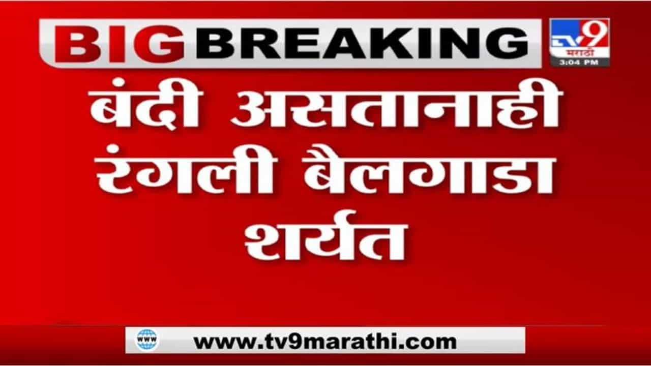 Sangamner | संगमनेर तालुक्यातील दरेवाडीमध्ये बैलगाडा शर्यत, नागरिकांची मोठी गर्दी Sangamner | संगमनेर तालुक्यातील दरेवाडीमध्ये बैलगाडा शर्यत, नागरिकांची मोठी गर्दी