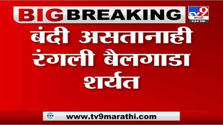 Sangamner | संगमनेर तालुक्यातील दरेवाडीमध्ये बैलगाडा शर्यत, नागरिकांची मोठी गर्दी Sangamner | संगमनेर तालुक्यातील दरेवाडीमध्ये बैलगाडा शर्यत, नागरिकांची मोठी गर्दी