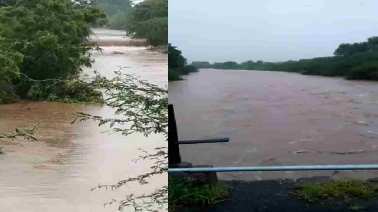 Maharashtra Rain Update : राज्यातील या जिल्ह्यांना मुसळधार पावसाचा इशारा, मराठवाडा, विदर्भात पावसाची बॅटिंग