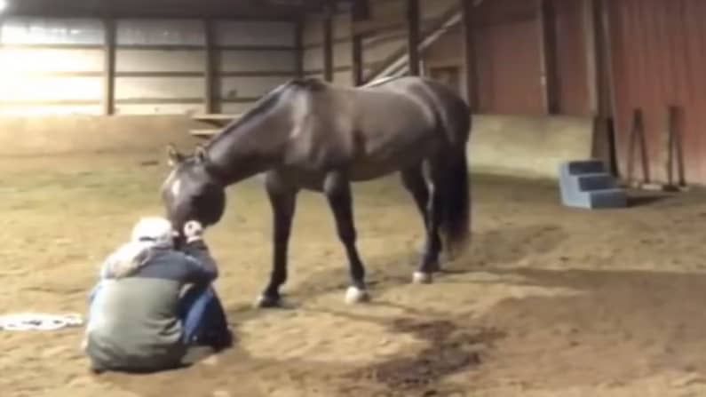 VIDEO : रडणाऱ्या मालकिणीचा मूड ठिक करण्यासाठी घोड्याने केले असे काही, नेटकरी बघून म्हणतात 'दोस्ती असावी तर अशी'