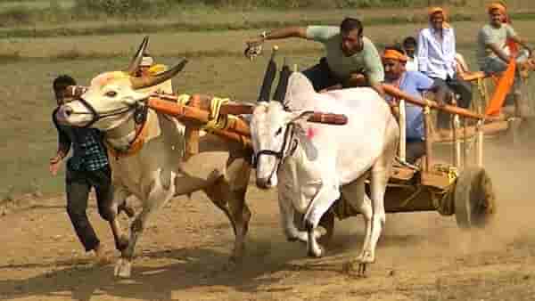 निर्णय कर्नाटक उच्च न्यायालयाचा, आशा पल्लवीत महाराष्ट्रातील शेतकऱ्यांच्या