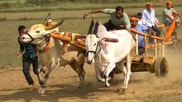 निर्णय कर्नाटक उच्च न्यायालयाचा, 'आशा' पल्लवीत महाराष्ट्रातील शेतकऱ्यांच्या