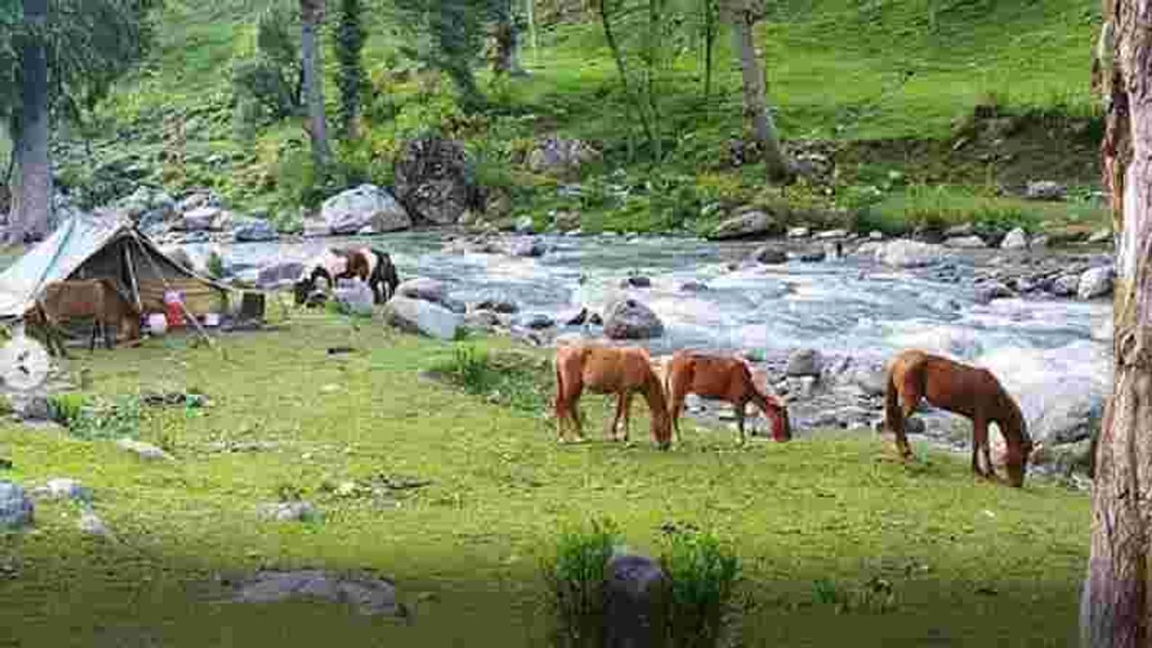 काश्मीरला त्याच्या सौंदर्यामुळे पृथ्वीवरील स्वर्ग मानले जाते. हे भारतातील सर्वात लोकप्रिय पर्यटन स्थळांपैकी एक आहे. निसर्गाने ही जागा हिरवीगार जंगले आणि भव्य मैदानांनी बहाल केली आहे. येथे अशी अनेक ठिकाणे आहेत जी पर्यटकांना भुरळ घालतात.