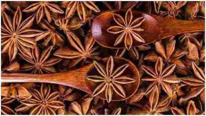 शांत झोप ते पचन संस्था बळकट, आहारात चक्रफूल समाविष्ट करण्याचे सर्वोत्तम फायदे