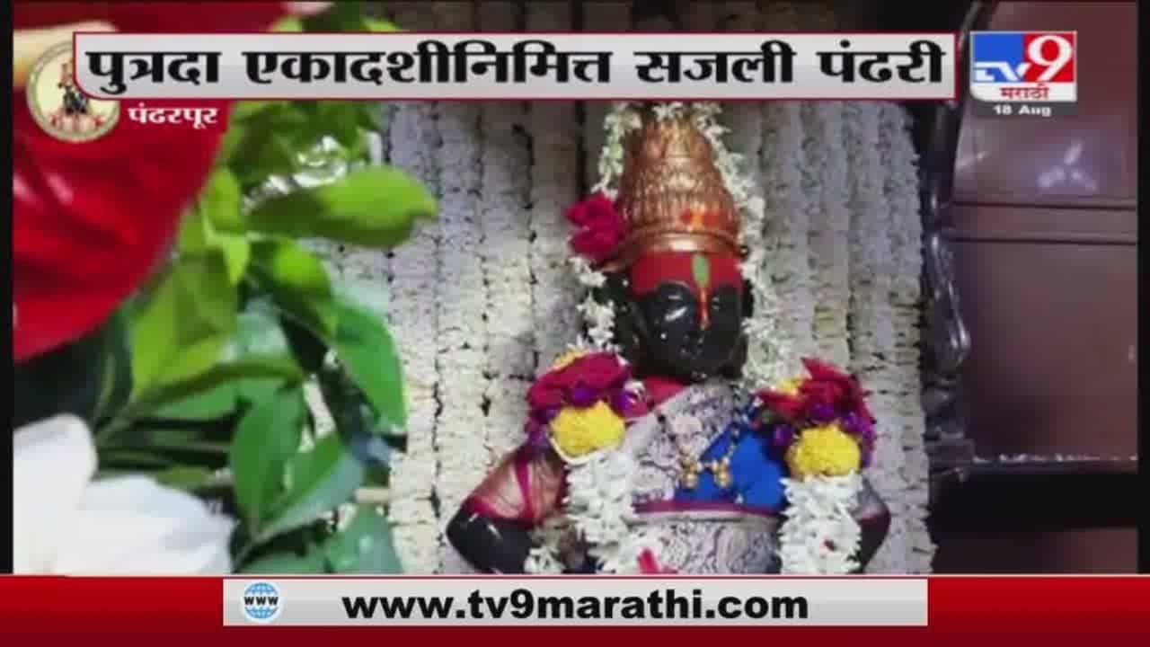 Pandharpur | पुत्रदा एकादशीनिमित्त पंढरपुरातील विठ्ठल मंदिरात आकर्षक सजावट